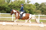 SBM_002845