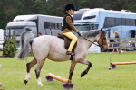 SBM_08600
