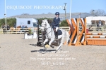 BPP_6148