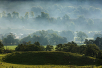 Mist in the Dales