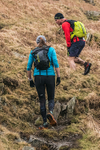 Loughrigg-993