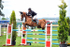 EQUISCOT 9246