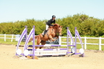 SBM_000433