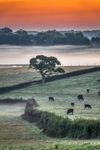 z4107 Misty Sunrise, Nunwell