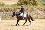 SBM_001715