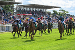 310526-Race 2-Dazzling Haze-8399