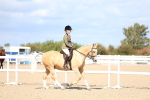 SBM_13356