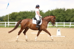 SBM_001501