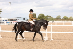 SBM_16542