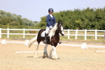 SBM_003736