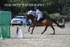 BPP_8229