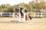 SBM_001080