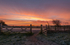 A Winters Morning