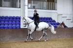 Class 6 - BSHA Ridden Sow Cob portfolio