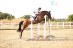 SBM_001770