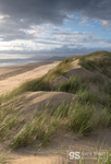 Evening light, Morfa Harlech