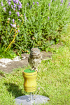 0628 IMG_6630