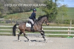 BPP_2961