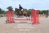 BPP_1423