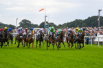 210824-Race 1-Jm Jungle-4487