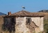 White Stork