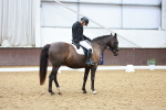 SBM_003537