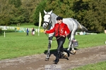 Rider 410 to 419 portfolio