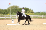 SBM_009050
