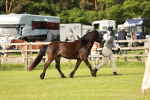 SBM_00398
