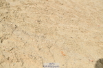 251004A-125651-01053