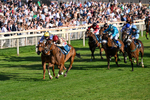 240726-Race 4-Rajaking-0416