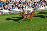 240726-Race 4-Rajaking-0429