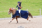 Cls 16 The Total Waste Management 128cm Grand Prix portfolio
