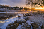 Iced Beauty