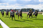 Race 4 3.51pm Sapphire Selling Handicap portfolio