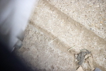 SBM_004847