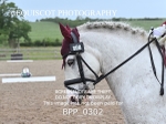 BPP_0302