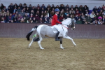 SBM_004015