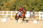 SBM_018628