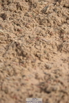 230906A-110514-00130