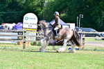 Class 101-102 - BSPS LIHS Performance Coloured Horse/Pony portfolio