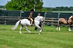 SBM_06063