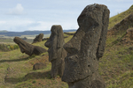 Easter Island (Isla de Pascua) portfolio