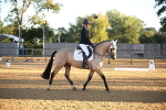 SBM_14528