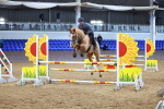 SBM_001618