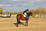 SBM_002832