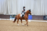 SBM_003695