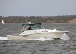 140504 ROSANNA PURSUIT WT7A0081