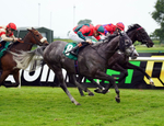 160626-Race 4-Mr King-5