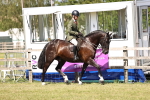 SBM_18572